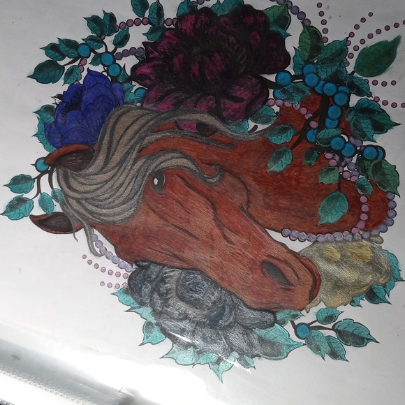 Colored Pages - Picture 4 of 4